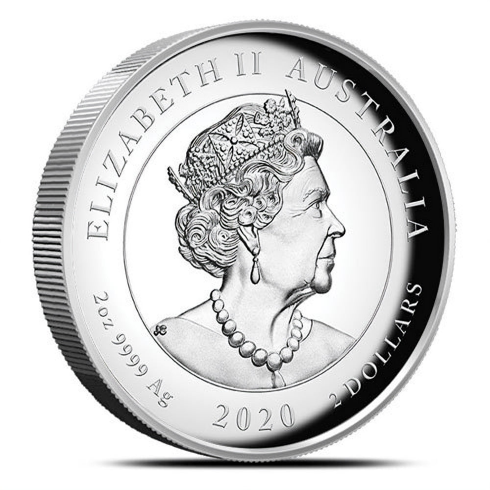 Double Pixiu 2020 2oz Silver Proof High Relief Coin reverse with Pixiu design