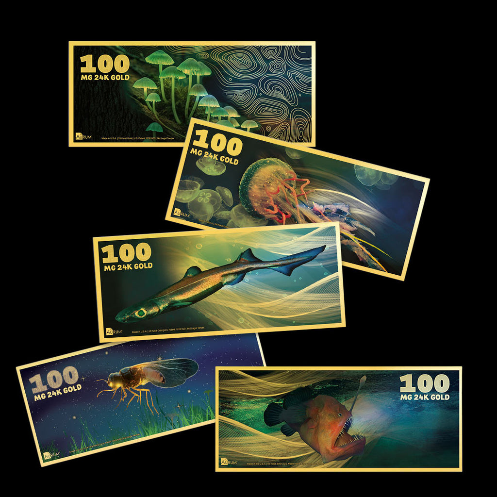 Bioluminescence Series Aurum five note set on a dark background