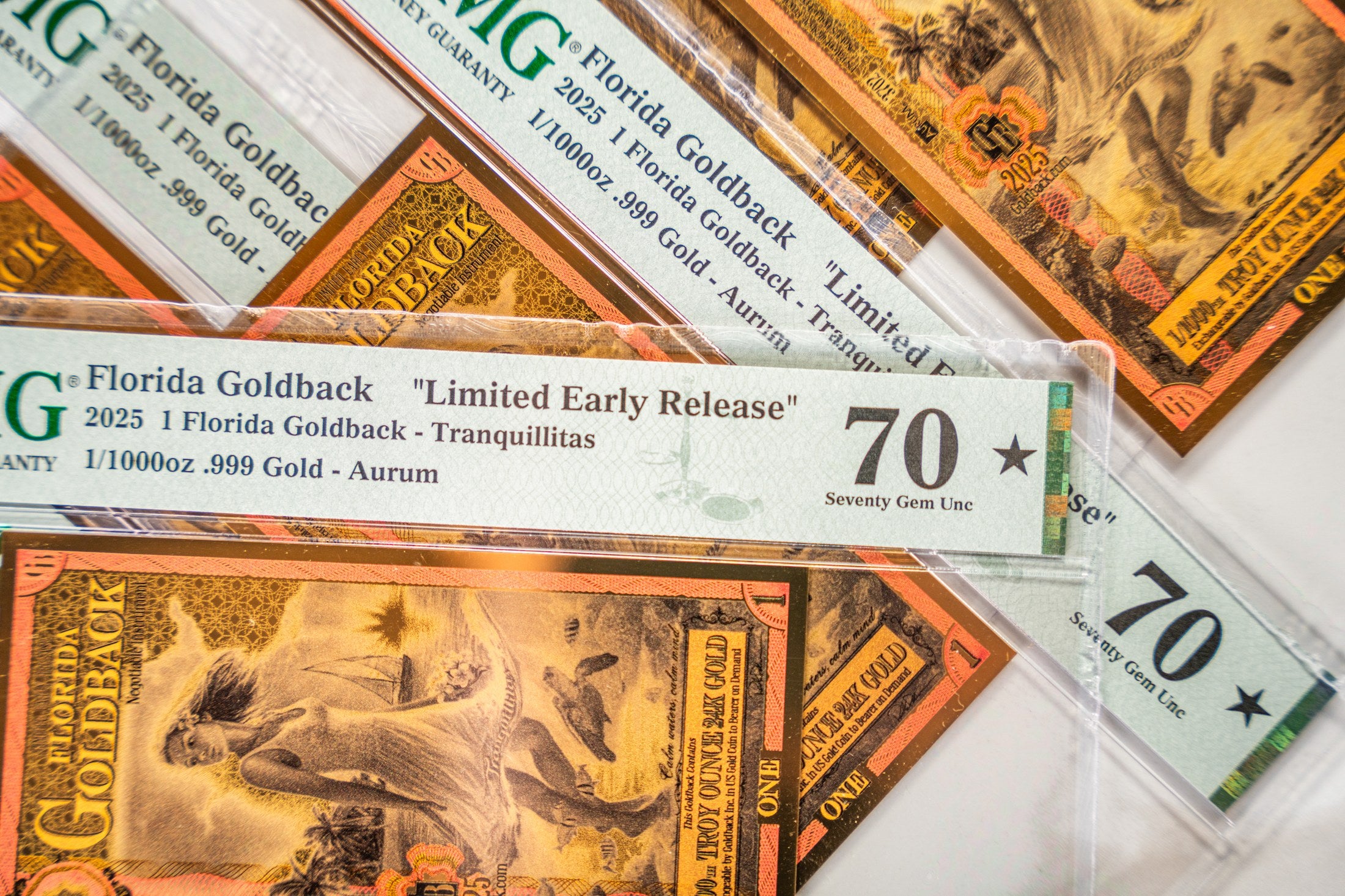 Florida 1 Goldback LER studio