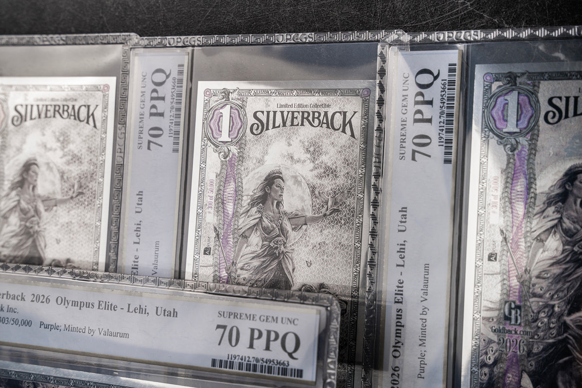2026 Hera Silverback Elite studio photo 10