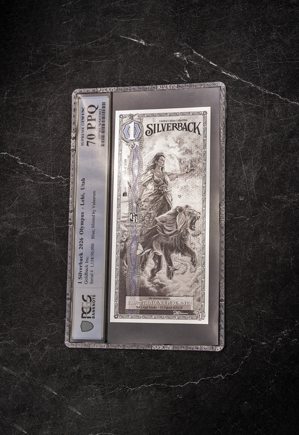 2026 Hera Silverback Graded Standard studio photo 1