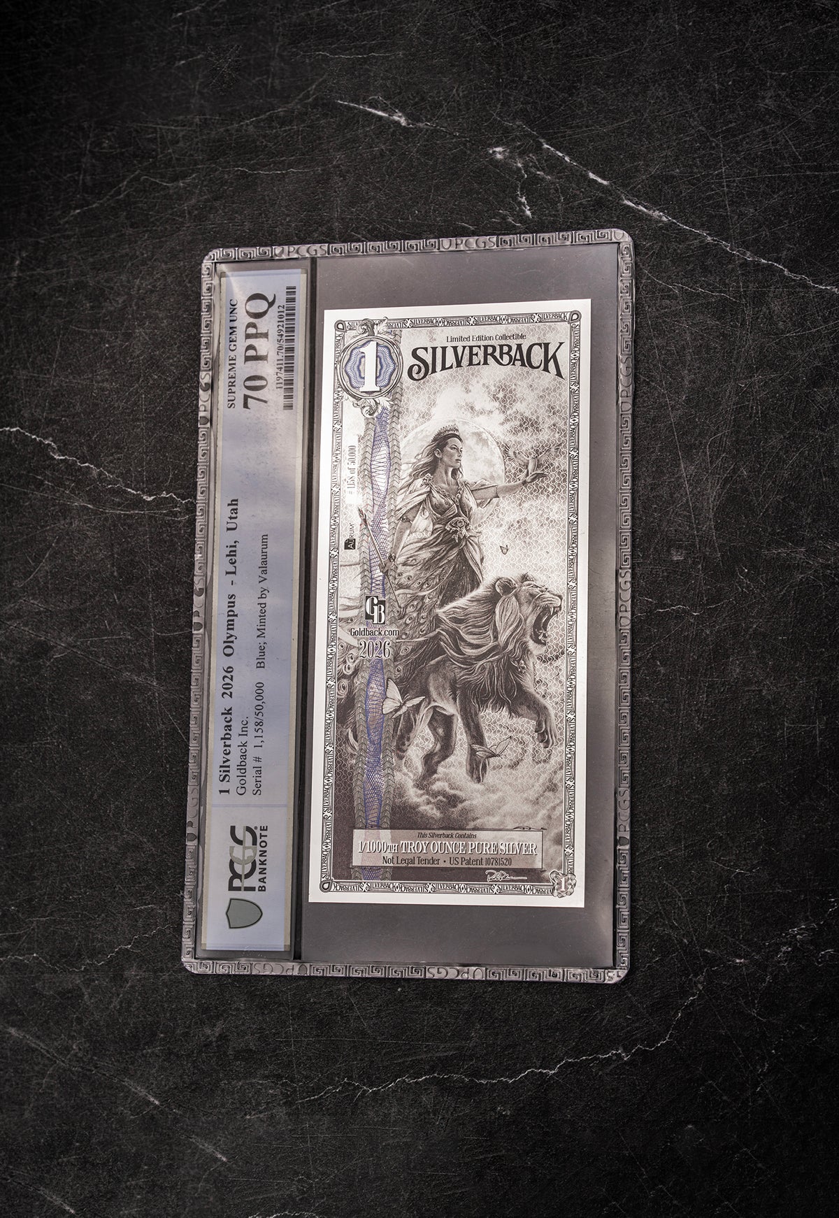 2026 Hera Silverback Graded Standard studio photo 1