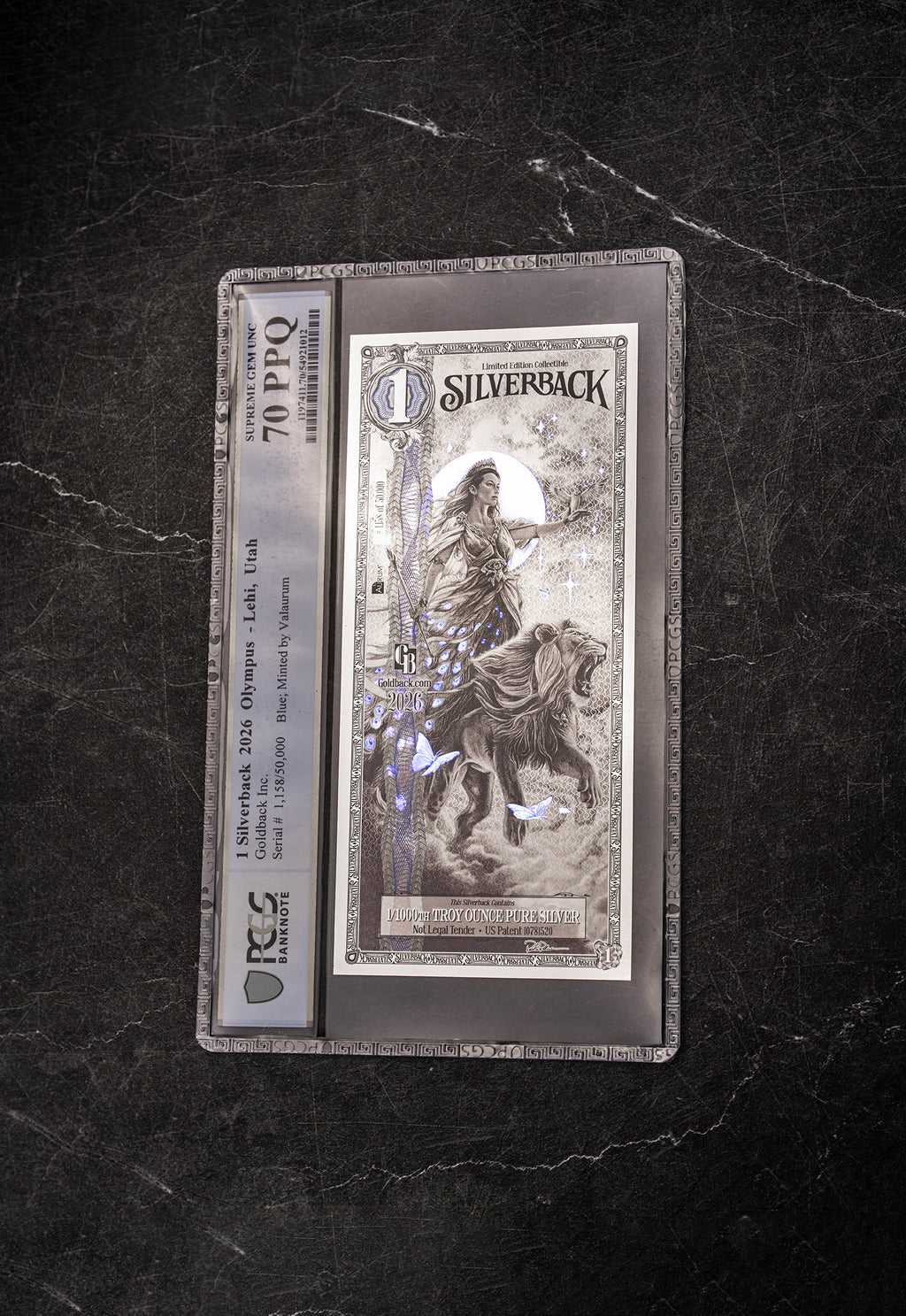 2026 Hera Silverback Graded Standard studio photo 2