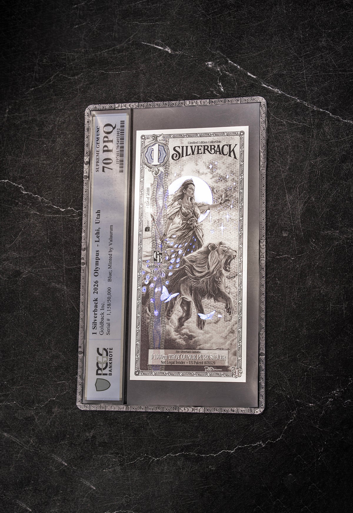 2026 Hera Silverback Graded Standard studio photo 2