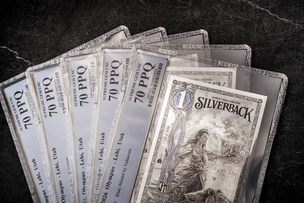 2026 Hera Silverback Graded Standard studio photo 3