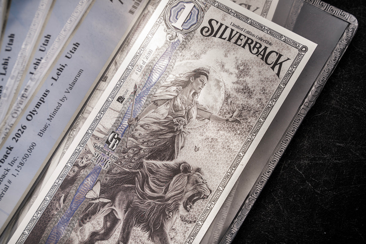 2026 Hera Silverback Graded Standard studio photo 4