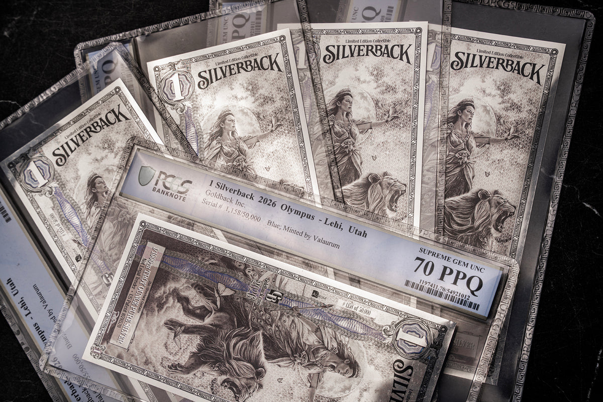 2026 Hera Silverback Graded Standard studio photo 5