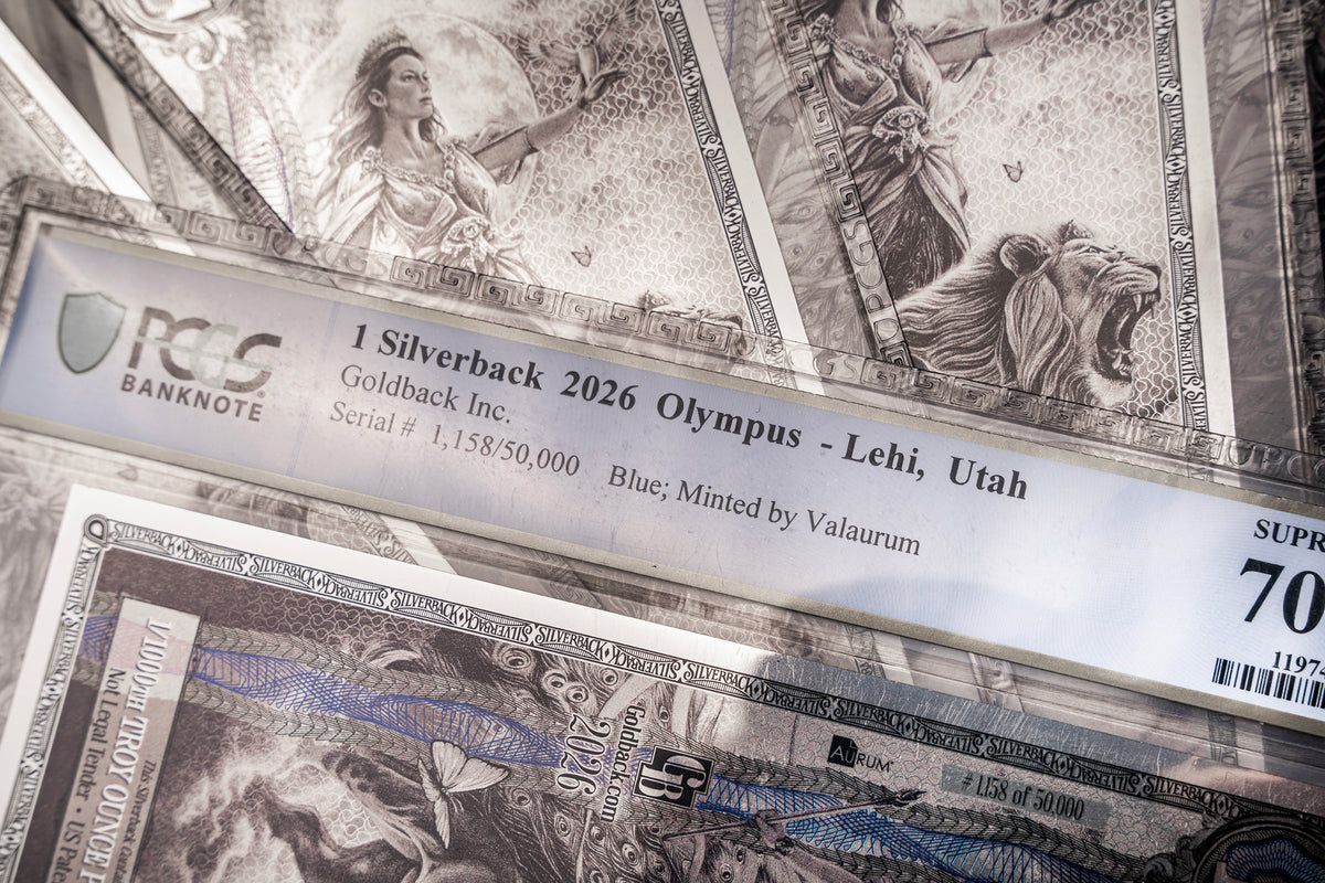 2026 Hera Silverback Graded Standard studio photo 6