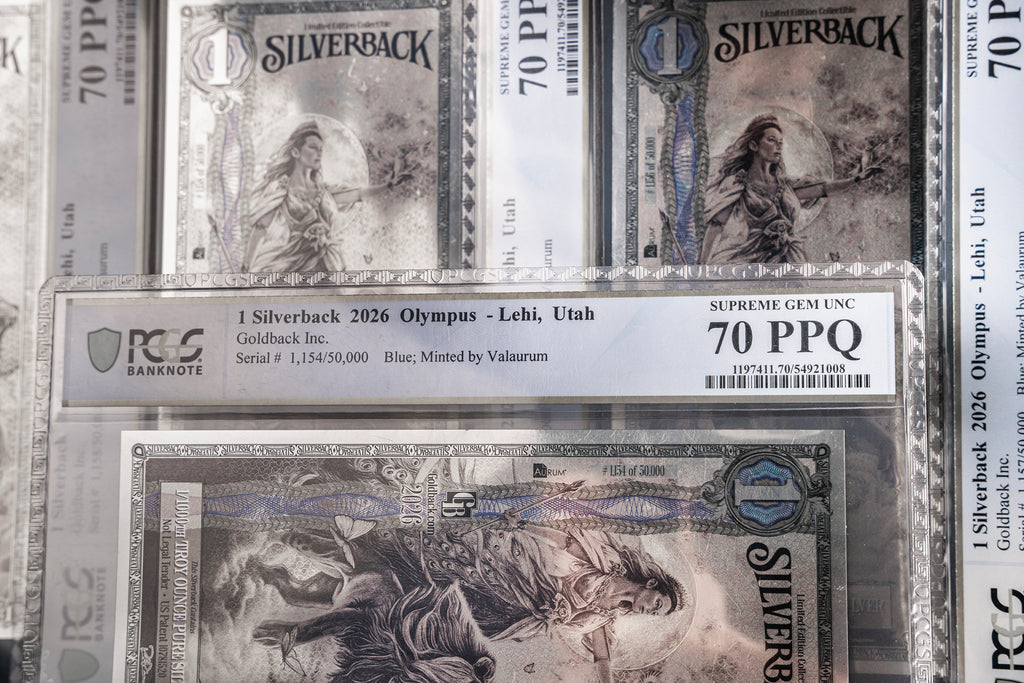 2026 Hera Silverback Graded Standard studio photo 7