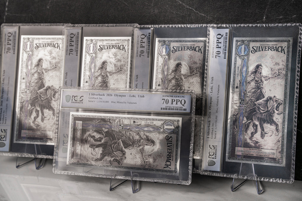 2026 Hera Silverback Graded Standard studio photo 8