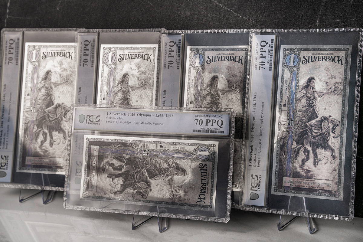 2026 Hera Silverback Graded Standard studio photo 8
