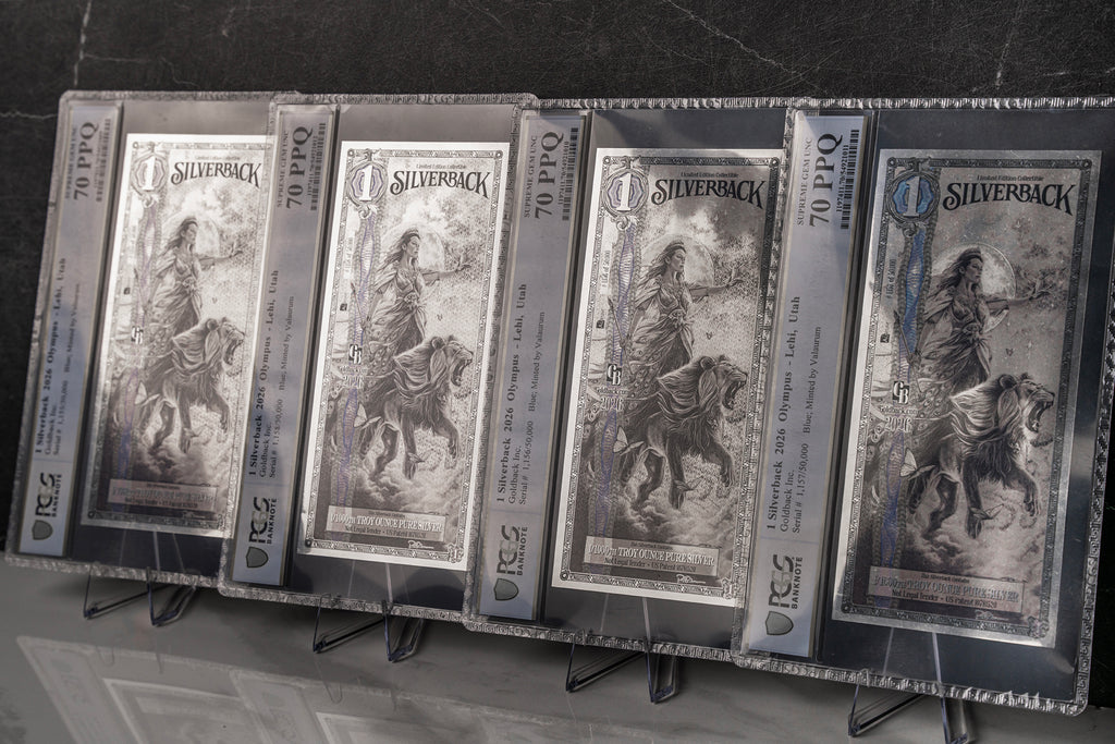 2026 Hera Silverback Graded Standard studio photo 9