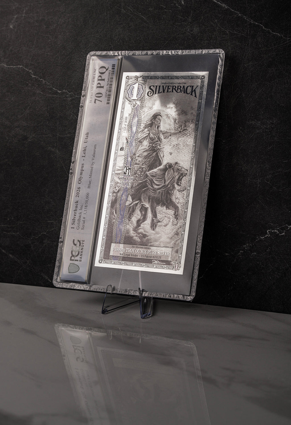 2026 Hera Silverback Graded Standard studio photo 10
