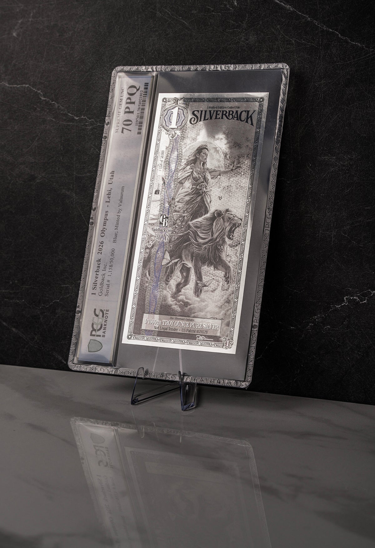 2026 Hera Silverback Graded Standard studio photo 10