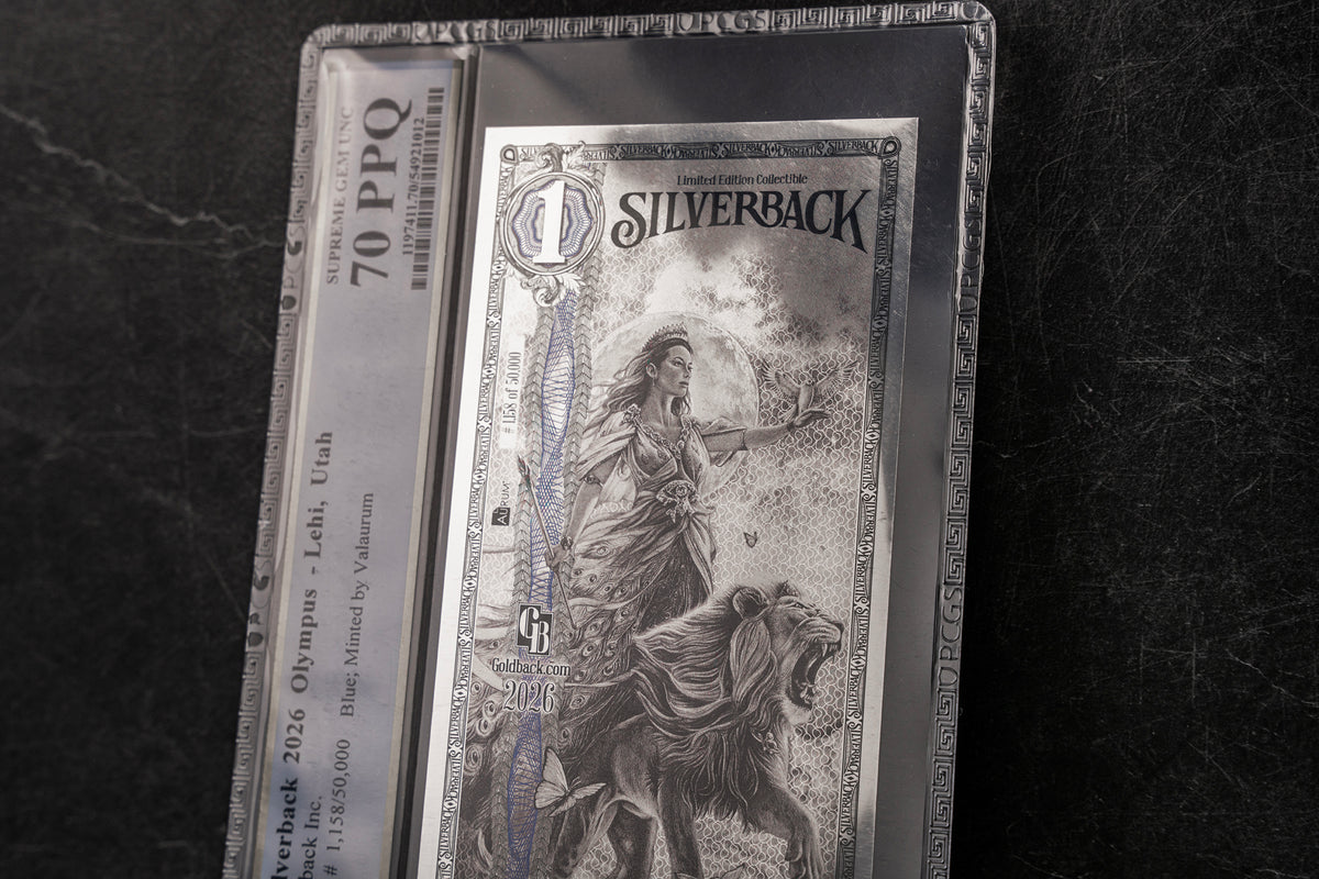2026 Hera Silverback Graded Standard studio photo 11