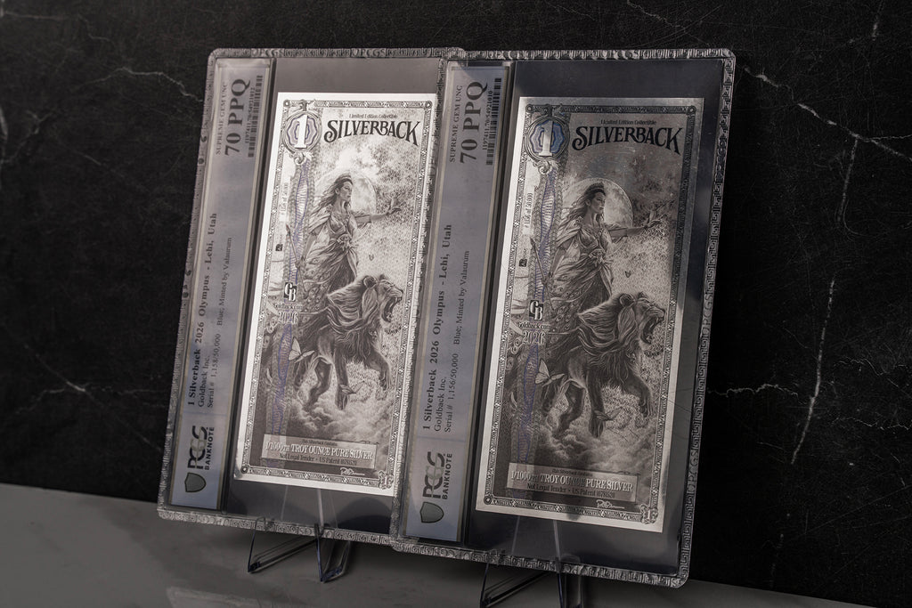 2026 Hera Silverback Graded Standard studio photo 12
