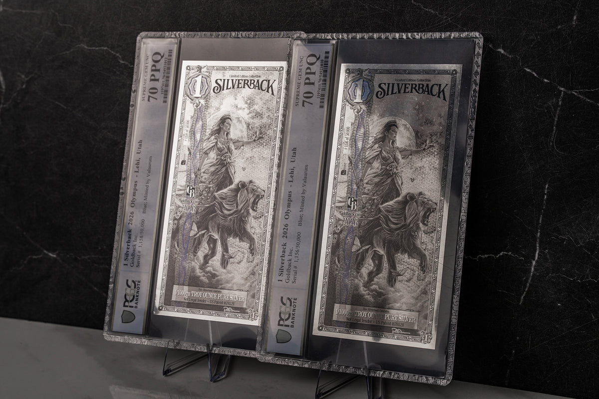 2026 Hera Silverback Graded Standard studio photo 12
