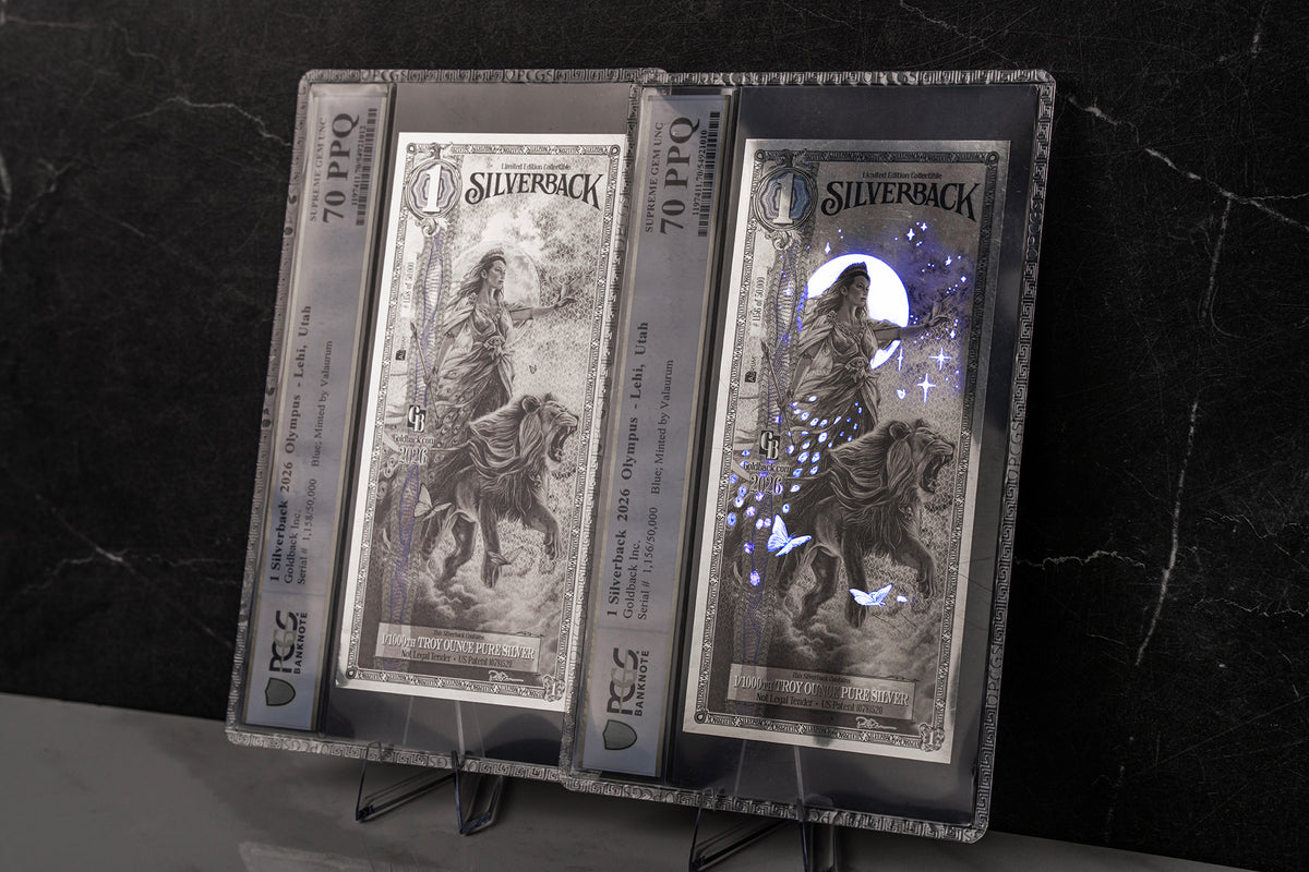2026 Hera Silverback Graded Standard studio photo 13