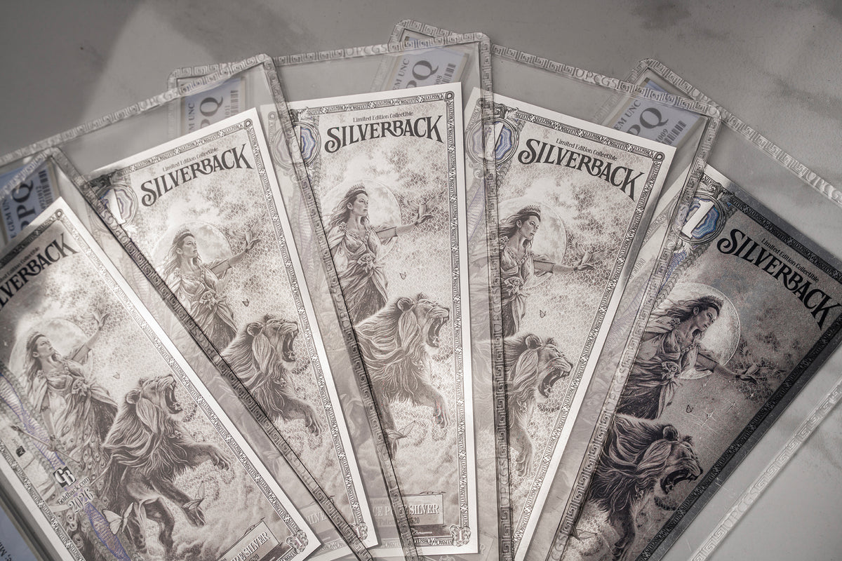 2026 Hera Silverback Graded Standard studio photo 14