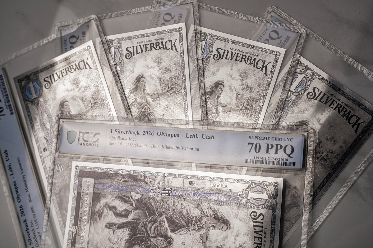 2026 Hera Silverback Graded Standard studio photo 16