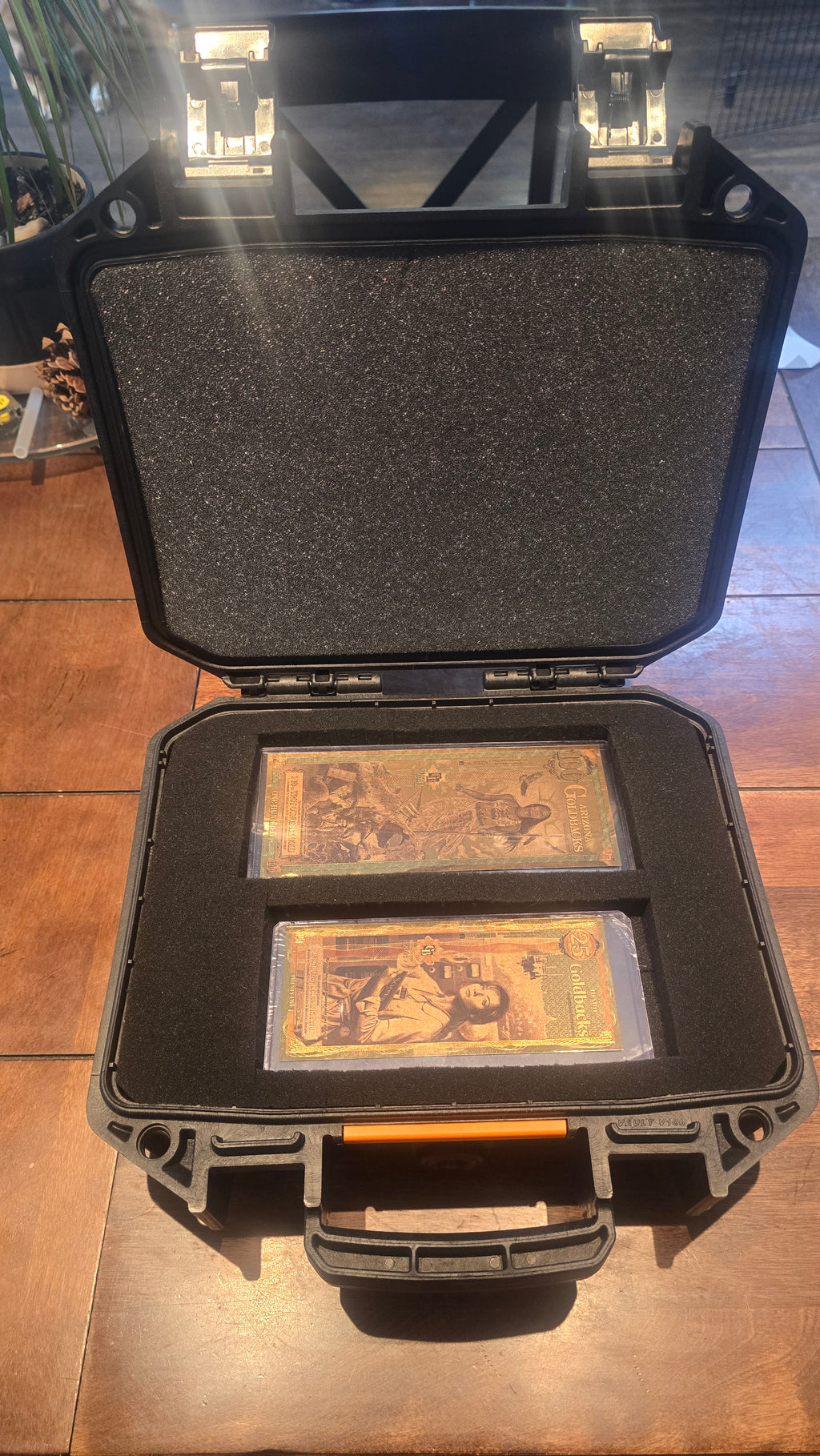 Goldback Gurus Mini Storage Case