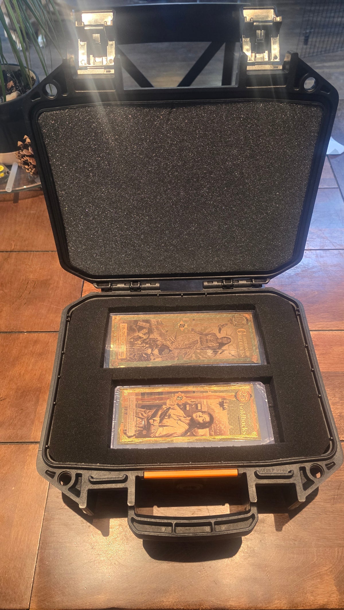 Goldback Gurus Mini Storage Case