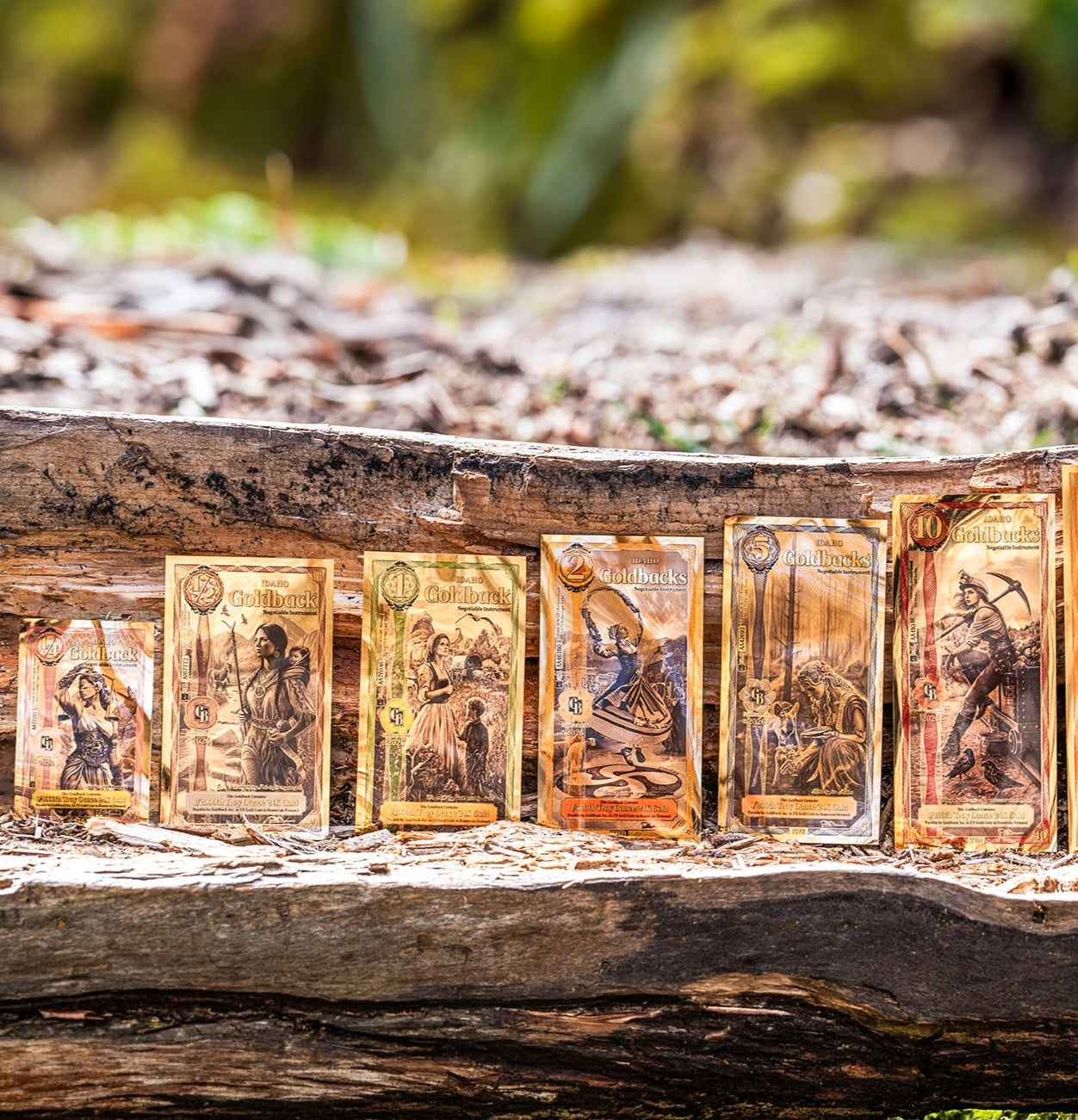 Idaho Goldbacks Value Pack- 1/4, 1/2 ,1, 2, 5, 10 (18.75 Face Value)